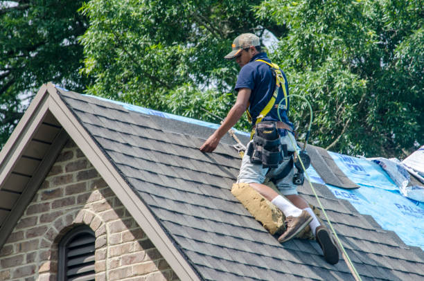 Best Residential Roof Replacement  in USA